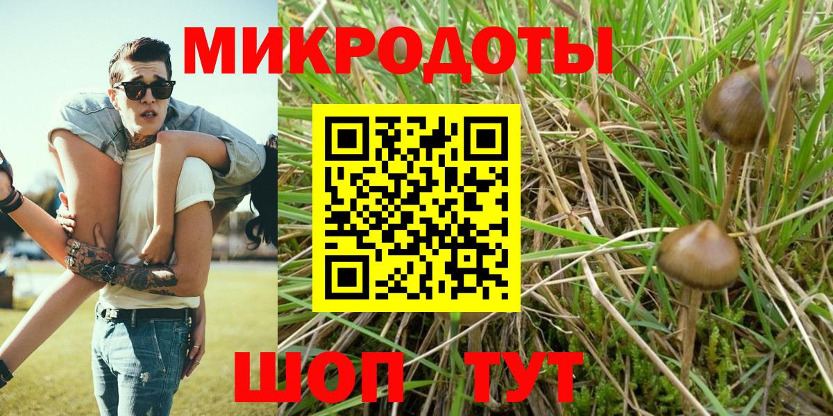 Псилоцибиновые грибы мицелий Родники