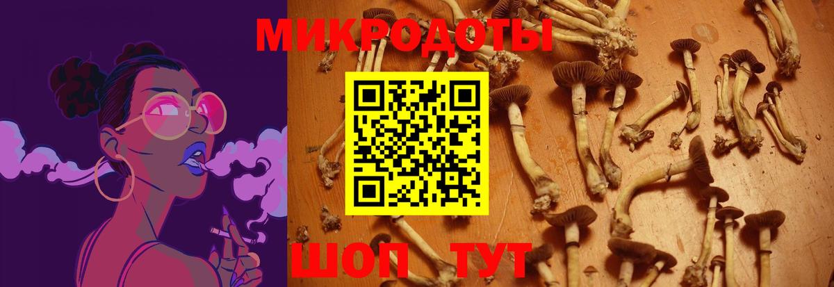 где продают наркотики  Галлюциногенные грибы MAGIC MUSHROOMS  Вход с VPN  Родники 